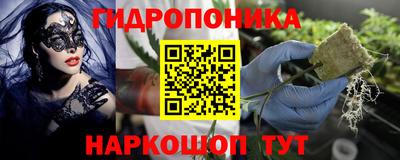 jwh Гусев