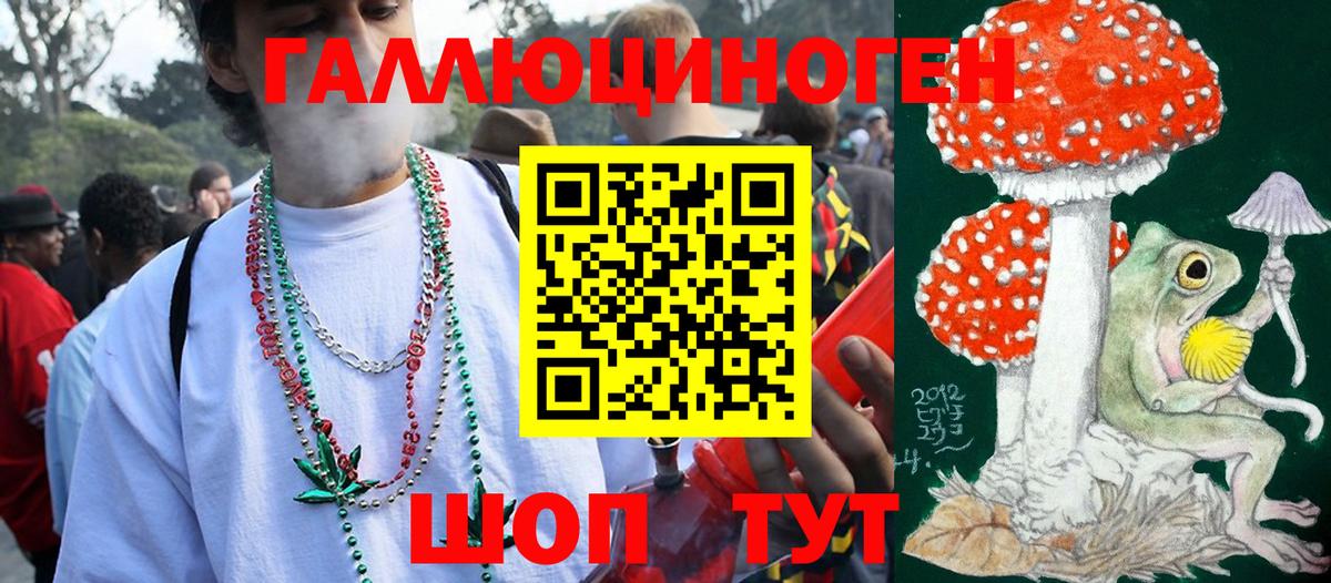 Родники  Псилоцибиновые грибы GOLDEN TEACHER  Вход с VPN 